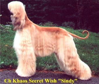 Image of Khaos Secret Wish