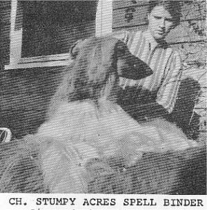 Image of Stumpy Acres Spell Binder