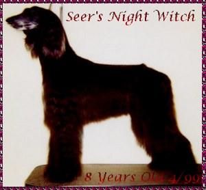 Image of See'rs Night Witch