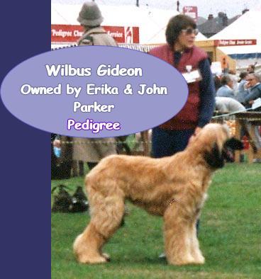 Image of Wilbus Gideon At Dendolf