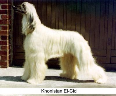 Image of Khonistan El Cid