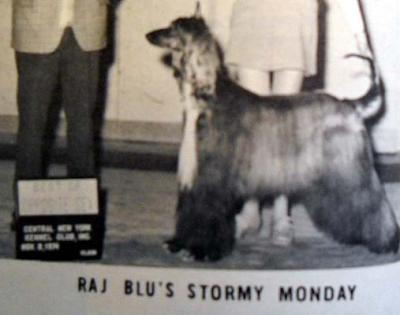 Image of Raj Blu's Stormy Monday
