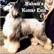 Image of Mahadi's Komar Emil