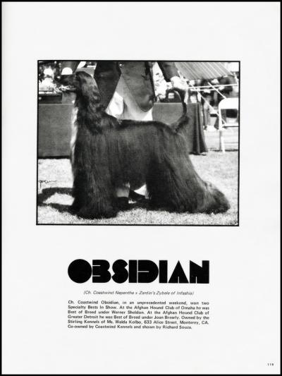 Image of Coastwind Obsidian