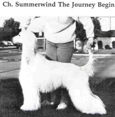 Image of Summerwind The Journey Begins