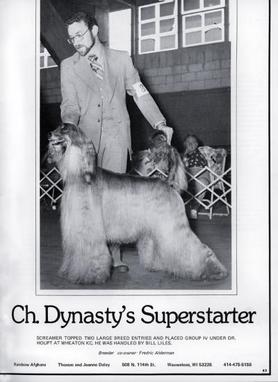 Image of Dynasty's Superstarter