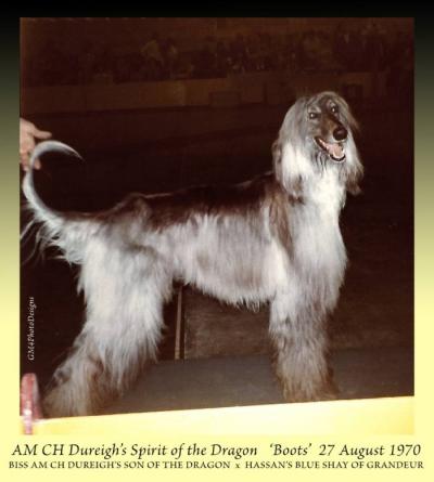 Image of Dureigh's Spirit Of The Dragon