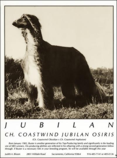 Image of Coastwind Jubilan Osiris