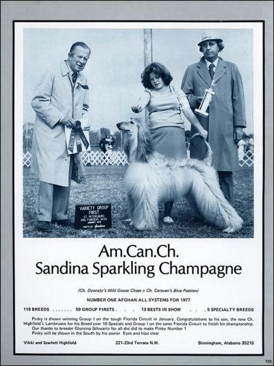 Image of Sandina Sparkling Champange