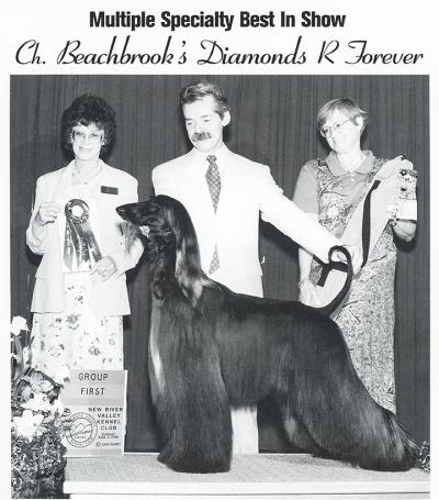 Image of Beachbrook Diamonds R Forever