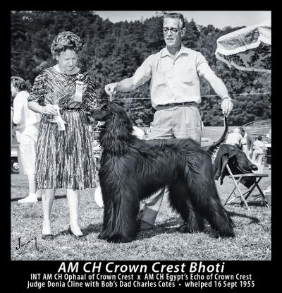 Image of Crown Crest Bhoti
