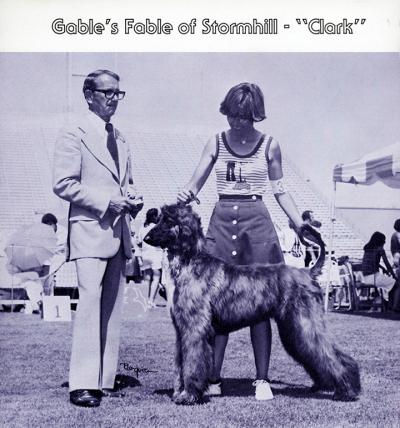 Image of Gable's Fable of Stormhill