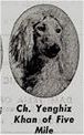 Image of Yenghiz-Khan Of Five Mile