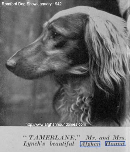 Image of Tamerlane (UK)