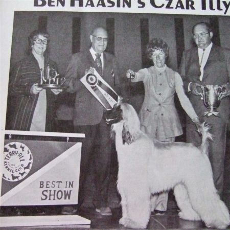 Image of Ben Haasin's Czar Illya