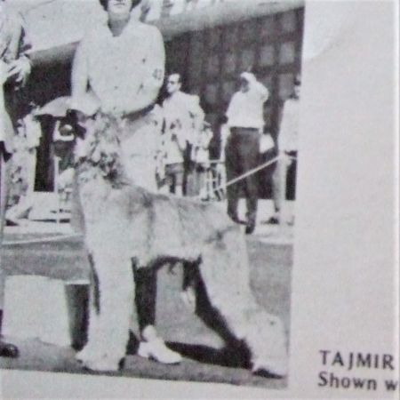Image of Tajmir Aquarius Of Desiree