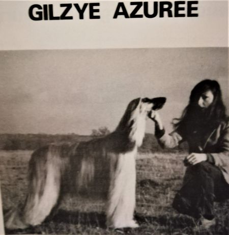 Image of Gilzye Azuree