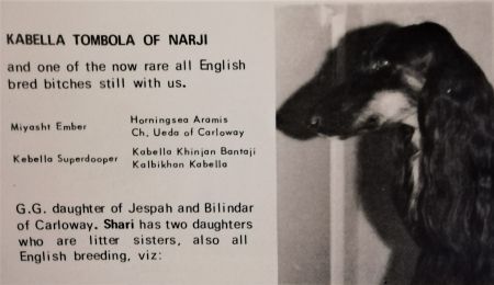 Image of Kabella Tombola Of Narji