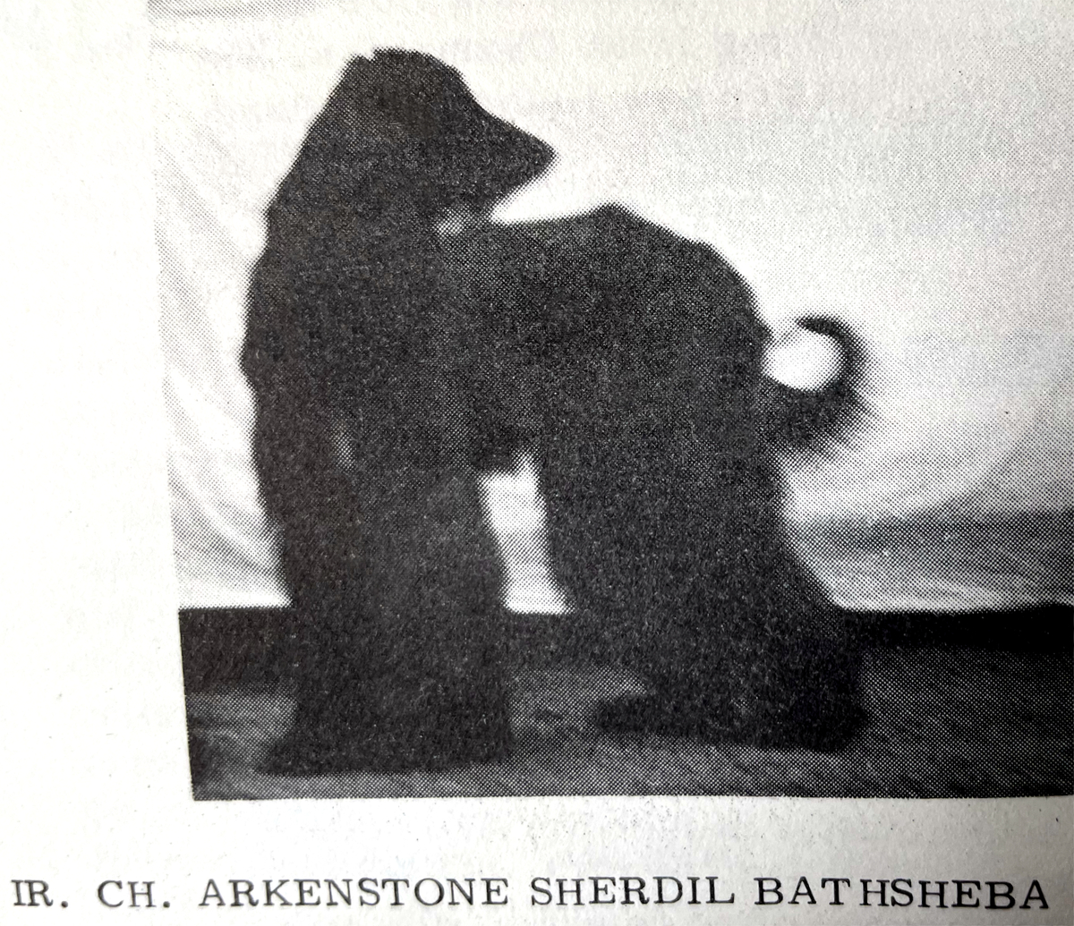 Image of Arkenstone Sherdil Bathsheba