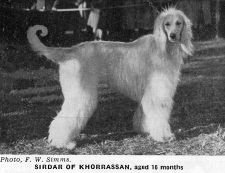 Image of Sirdar Of Khorrassan