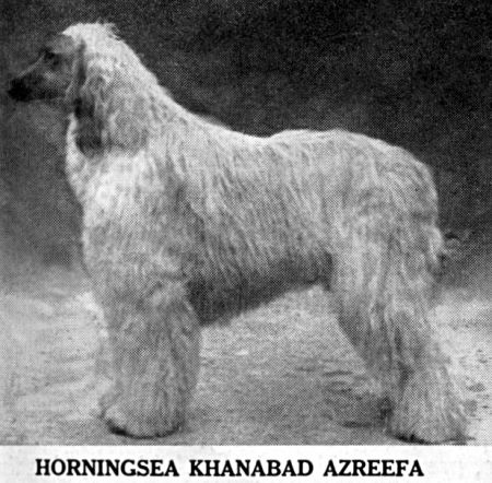 Image of Horningsea Khanabad Azreefa