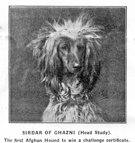 Image of Sirdar Of Ghazni