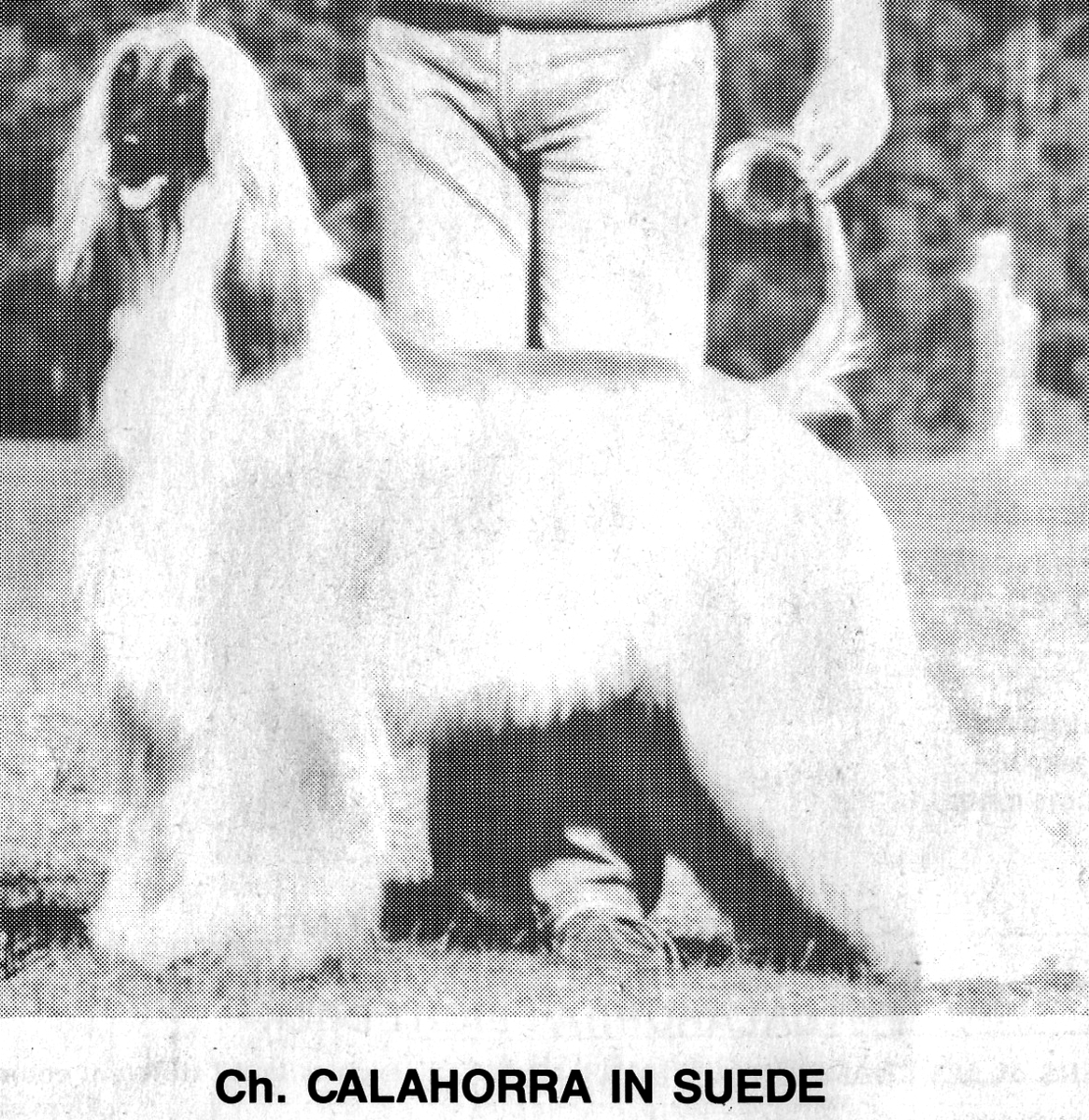 Image of Calahorra In Suede