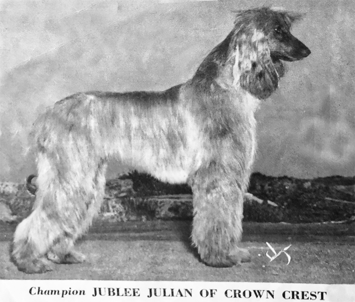 Image of Jublee Julian Of Crown Crest
