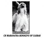 Thumbnail of Maranatha Rendezvu Of Casbar