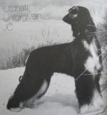 Thumbnail of Utchati Unforgiven