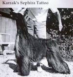 Thumbnail of Karzak's Sephira Tattoo