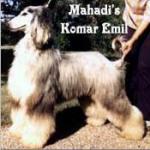 Thumbnail of Mahadi's Komar Emil
