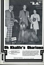 Thumbnail of Khalife's Charisma