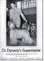 Thumbnail of Dynasty's Superstarter