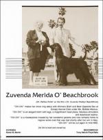 Thumbnail of Zuvenda's Beachbrook Meridia