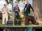 Thumbnail of Jangel's Sound Of A Drum