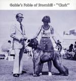 Thumbnail of Gable's Fable of Stormhill