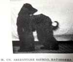 Thumbnail of Arkenstone Sherdil Bathsheba
