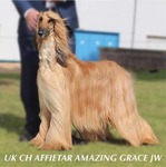 Thumbnail of Affietar Amazing Grace