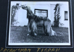 Thumbnail of Badakshan Tigrah