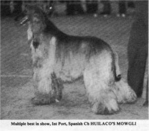 Image of Huilaco's Mowgli