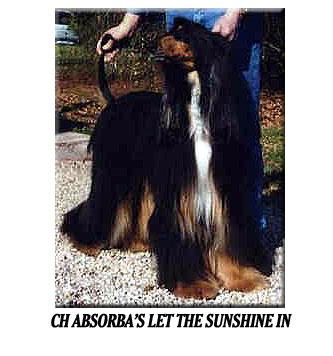 Image of Absorba's Let The Sunshine In