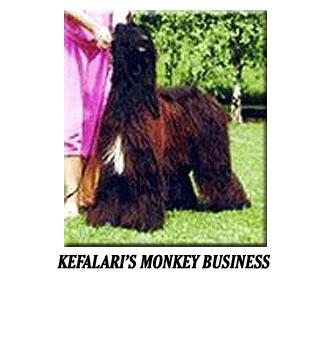 Image of Kefalari's Monkey Business