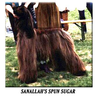 Image of Sanallahs Spun Sugar