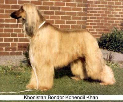Image of Khonistan Bondor Kohendil Khan
