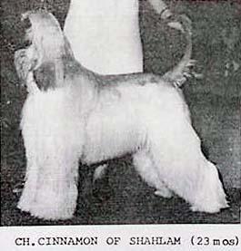 Image of Cinnamon Sinner Of Shahlam