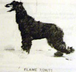 Image of Dic Mar's Flaming Candle