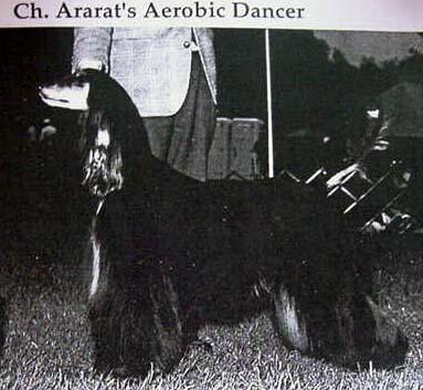 Image of Ararat's Aerobic Dancer