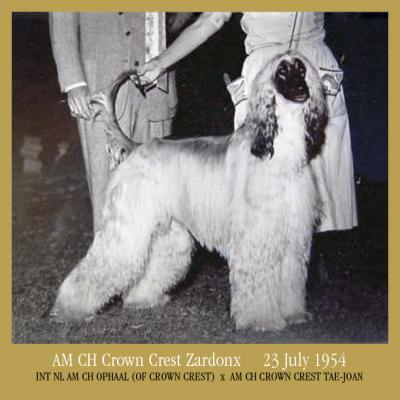 Image of Crown Crest Zardonx