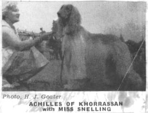 Image of Achilles Of Khorrassan